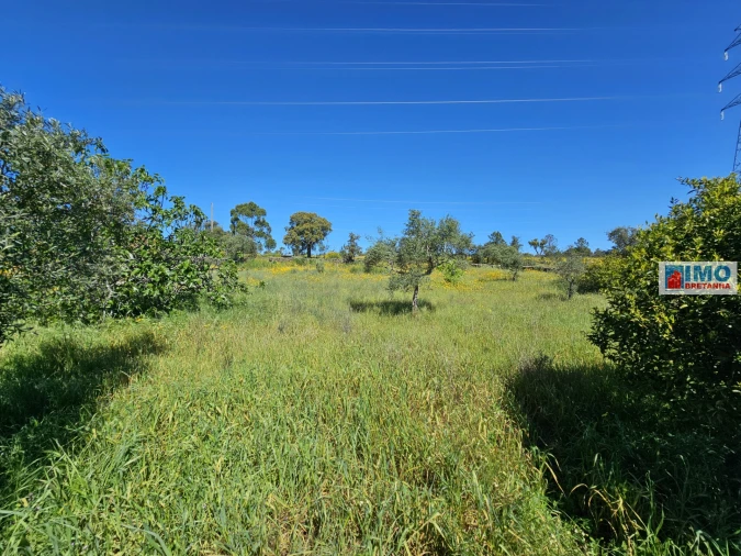 Terreno Agricola ou Rústico para Venda em Sarnadas de Rodão Foto 3