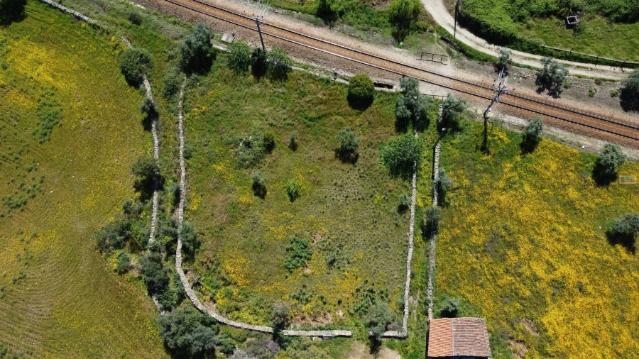Terreno Agricola ou Rústico para Venda em Sarnadas de Rodão Foto 15