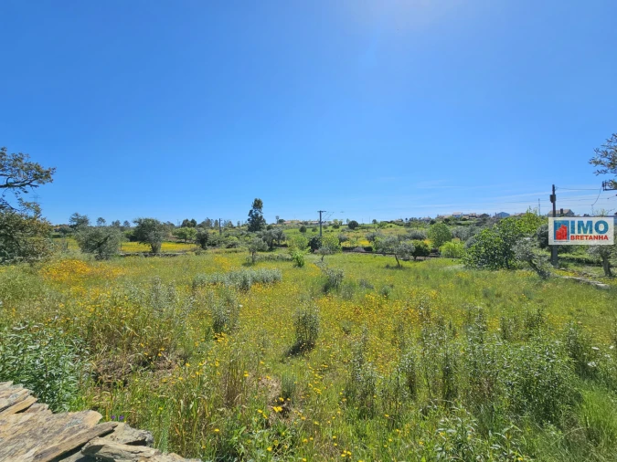 Terreno Agricola ou Rústico para Venda em Sarnadas de Rodão Foto 9