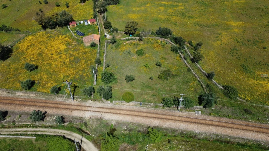 Terreno Agricola ou Rústico para Venda em Sarnadas de Rodão Foto 14