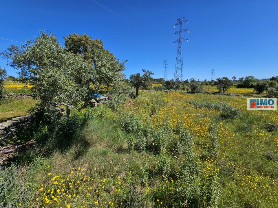 Terreno Agricola ou Rústico para Venda em Sarnadas de Rodão Foto 5