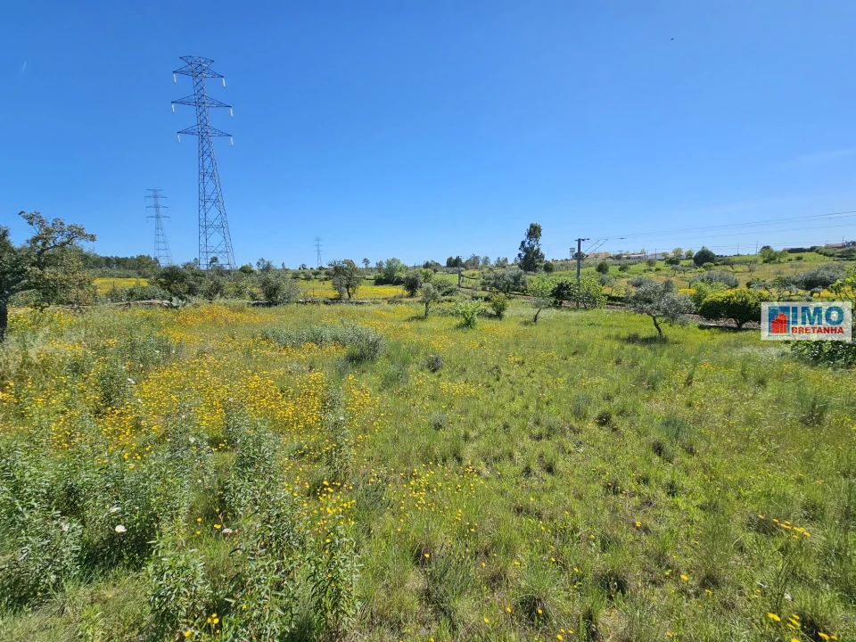 Terreno Agricola ou Rústico para Venda em Sarnadas de Rodão Foto 4