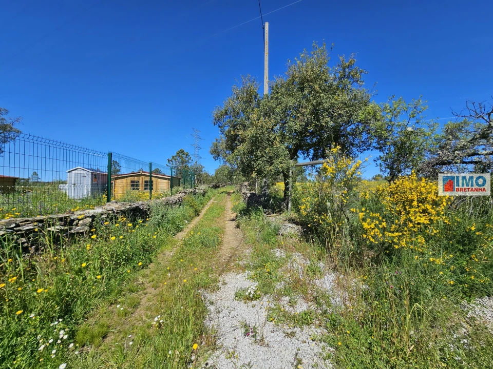 Terreno Agricola ou Rústico para Venda em Sarnadas de Rodão Foto 11
