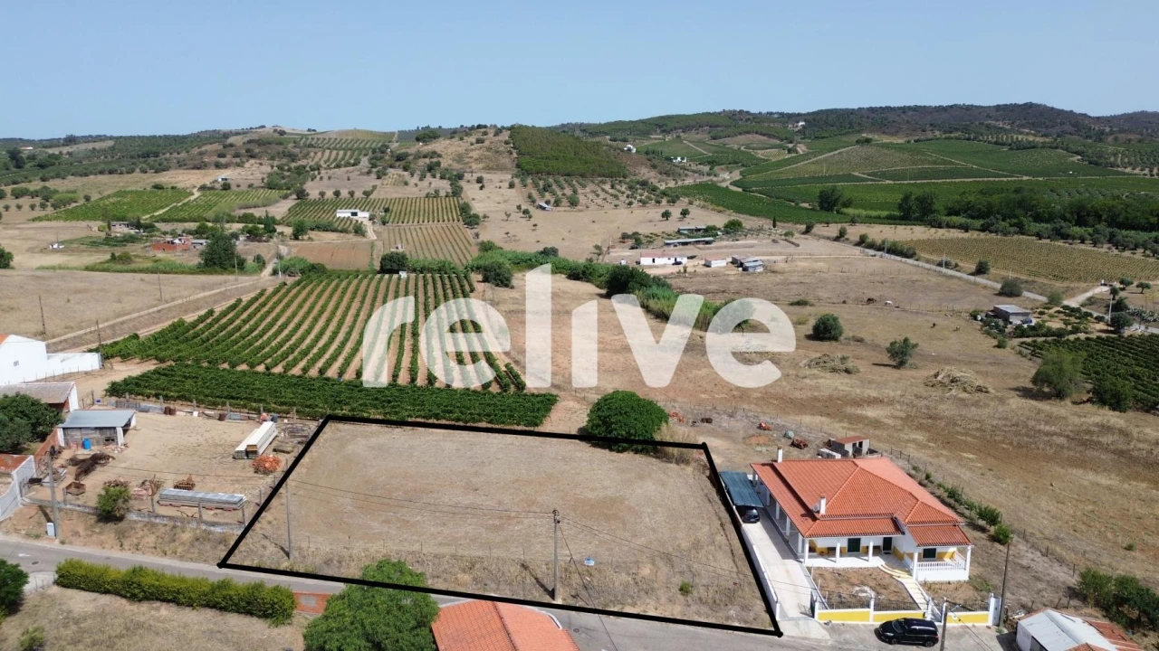 Terreno para Venda em Vila de Frades Foto 5