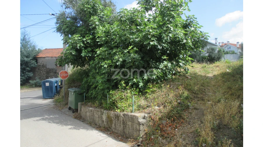 Terreno para Venda em Lousã e Vilarinho Foto 17