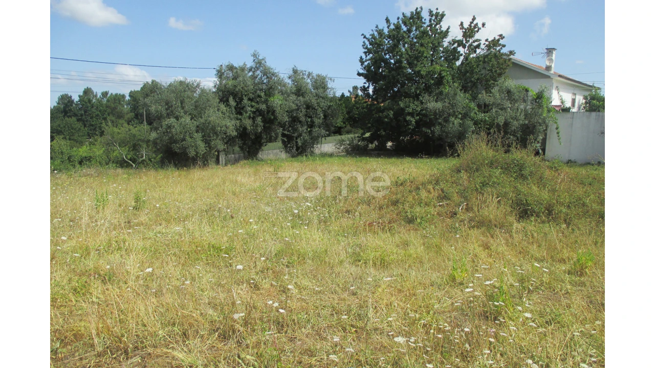 Terreno para Venda em Lousã e Vilarinho Foto 14