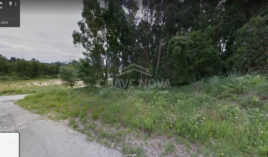 Terreno para Venda em Madalena Foto 2