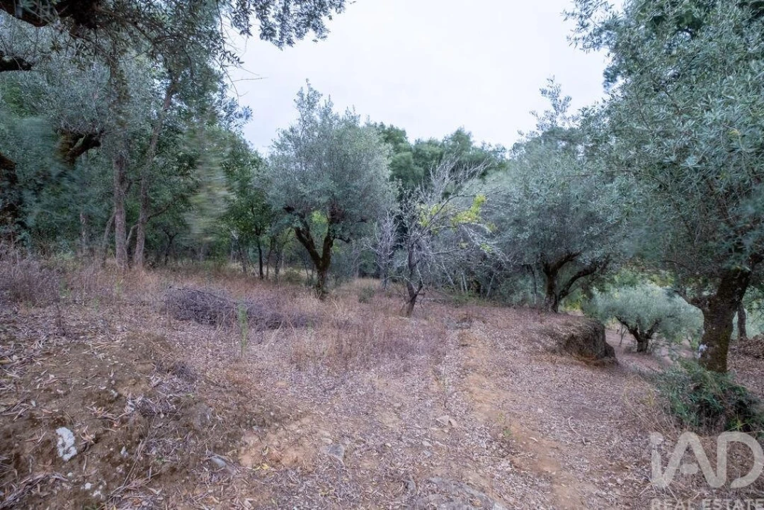 Moradia T2 para Venda em São João Baptista e Santa Maria dos Olivais Foto 17