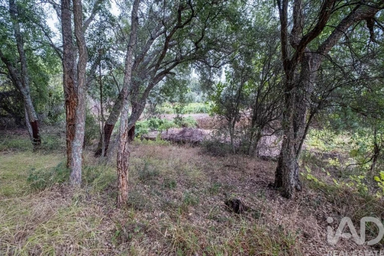 Moradia T2 para Venda em São João Baptista e Santa Maria dos Olivais Foto 16