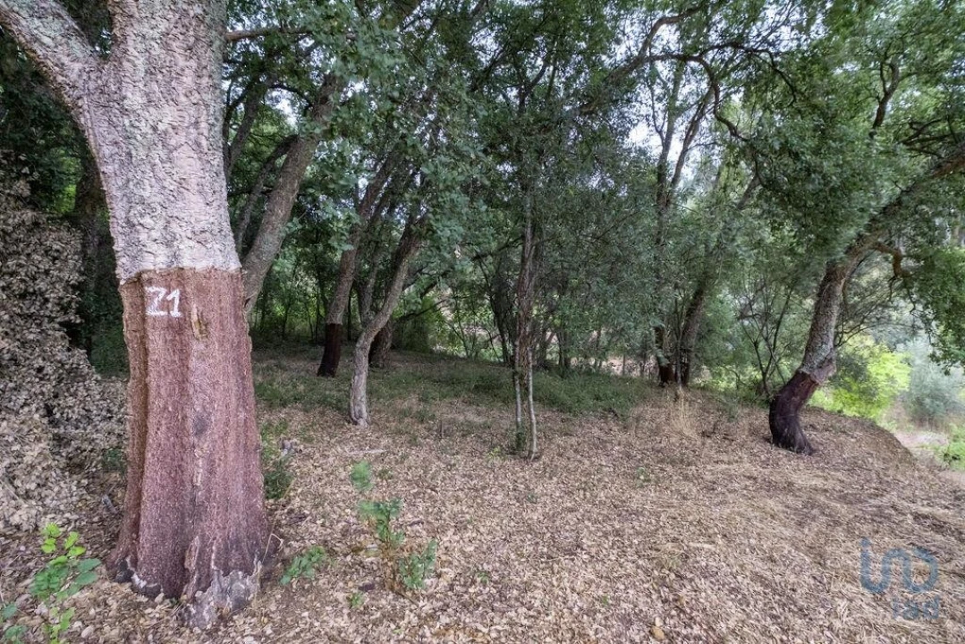 Moradia T2 para Venda em São João Baptista e Santa Maria dos Olivais Foto 13
