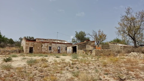 Terreno para Venda em Boliqueime