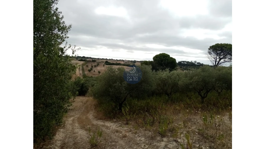Terreno para Venda em Abitureiras Foto 3
