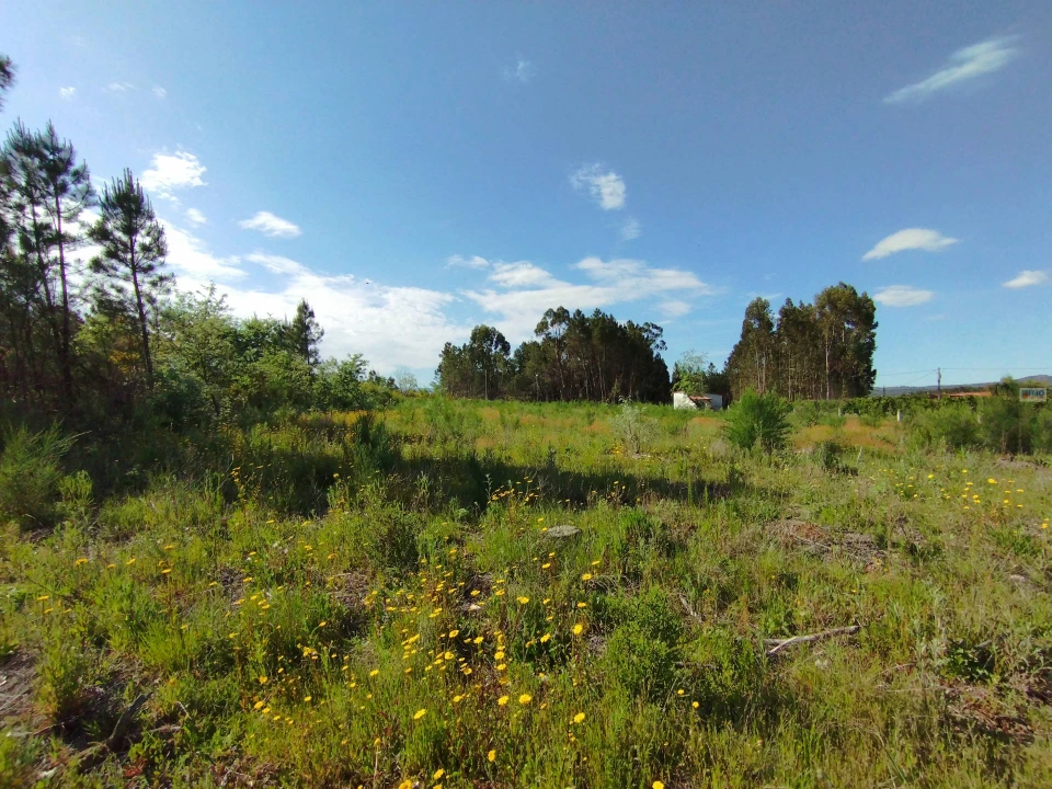 Terreno Agricola ou Rústico para Venda em Enxames Foto 2