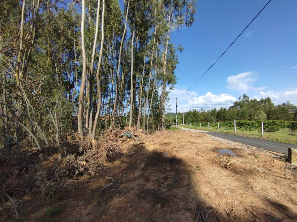 Terreno Agricola ou Rústico para Venda em Enxames Foto 8