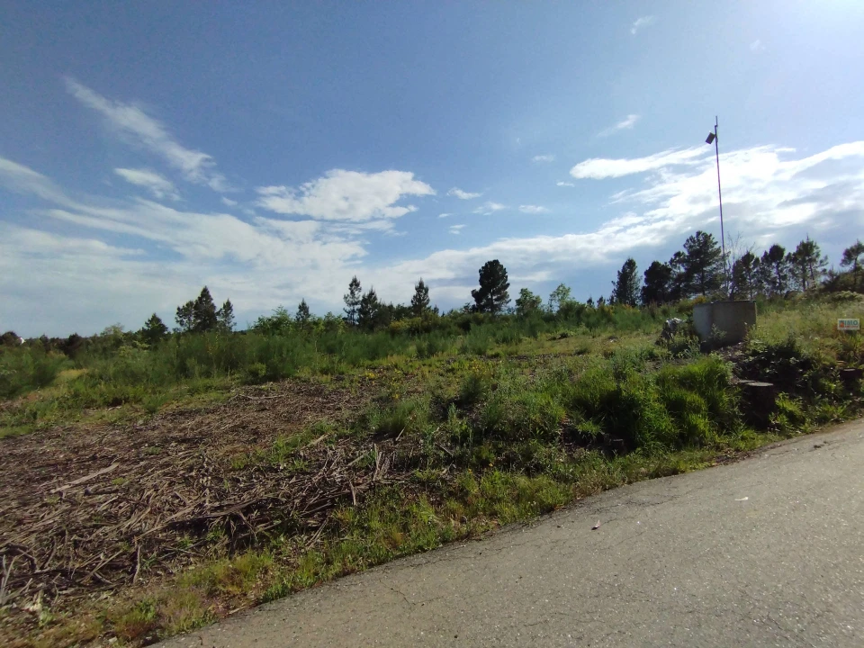 Terreno Agricola ou Rústico para Venda em Enxames Foto 4