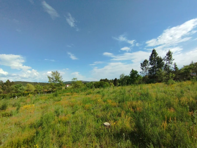 Terreno Agricola ou Rústico para Venda em Enxames Foto 3