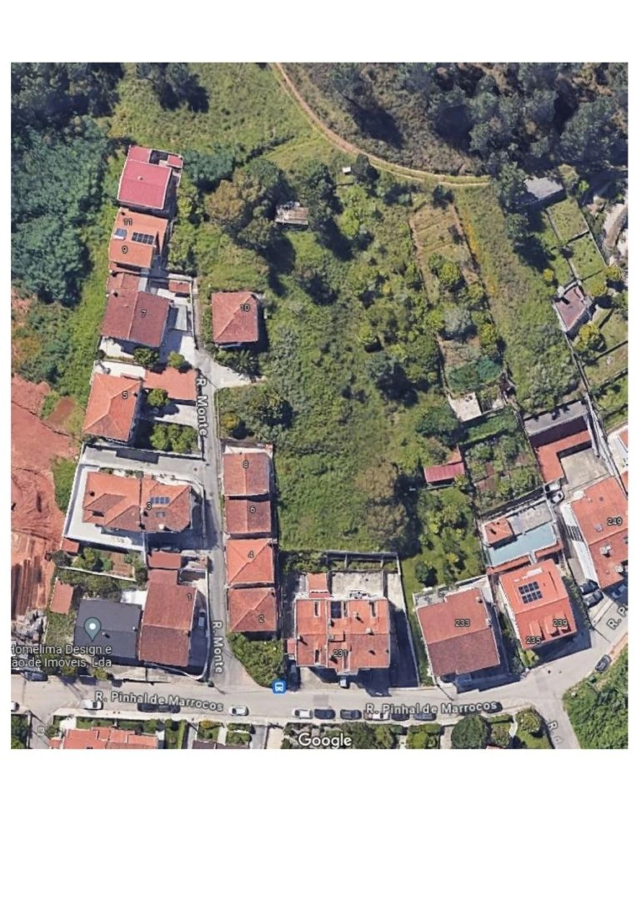 Terreno para Venda em Santo Antonio dos Olivais Foto 16