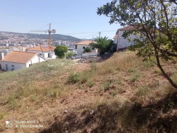 Terreno para Venda em Santo Antonio dos Olivais