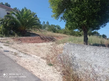 Terreno para Venda em Santo Antonio dos Olivais