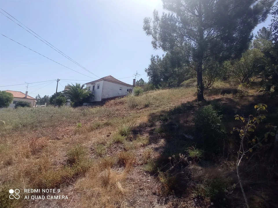 Terreno para Venda em Santo Antonio dos Olivais Foto 11