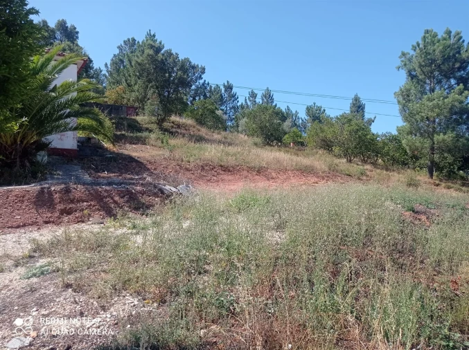 Terreno para Venda em Santo Antonio dos Olivais Foto 10