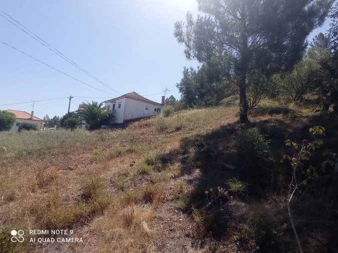 Terreno para Venda em Santo Antonio dos Olivais Foto 11