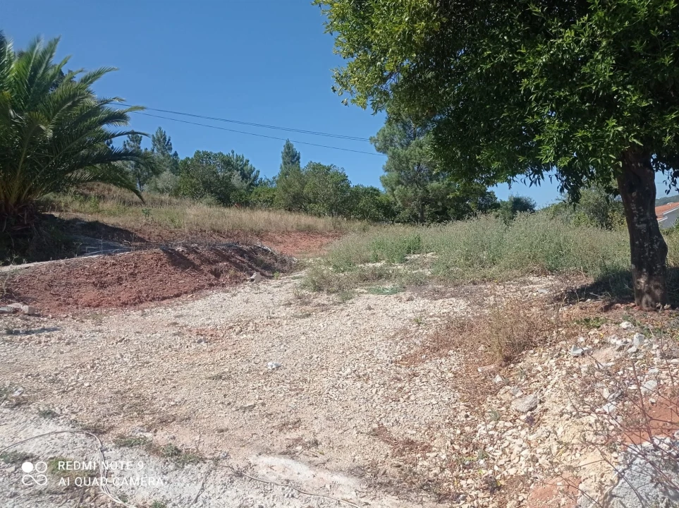Terreno para Venda em Santo Antonio dos Olivais Foto 15