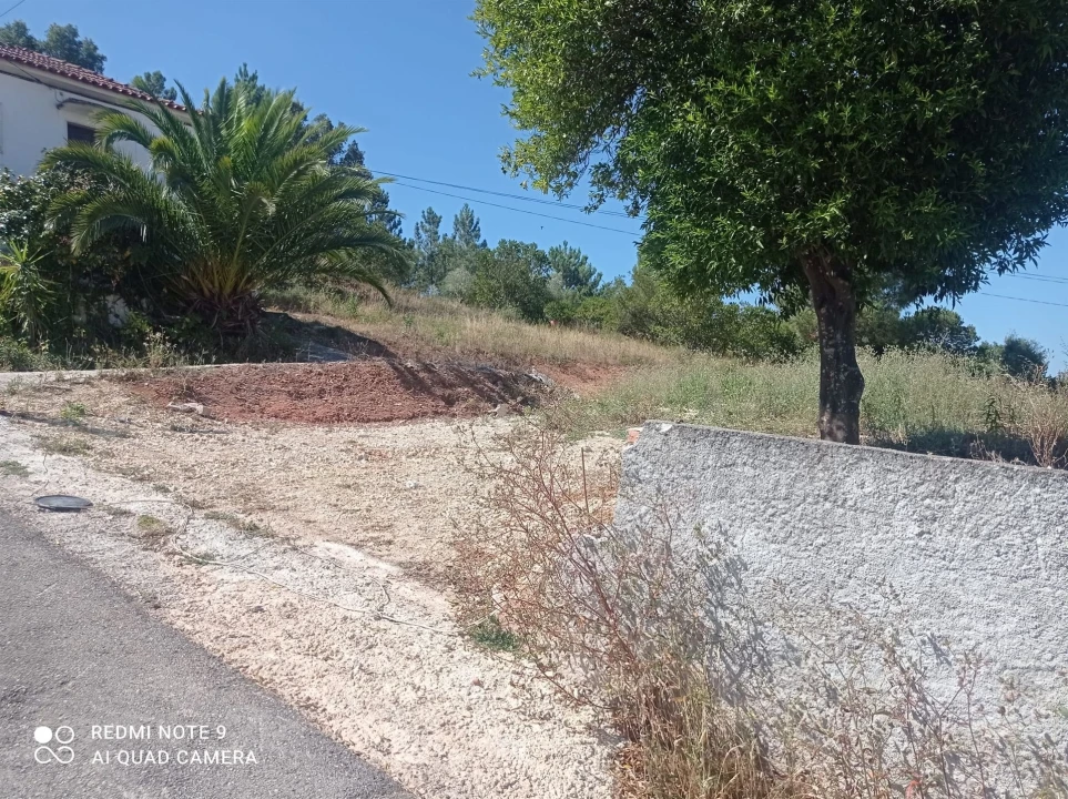 Terreno para Venda em Santo Antonio dos Olivais Foto 14