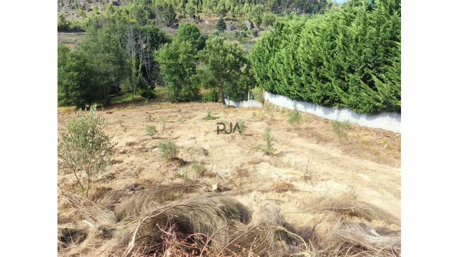 Terreno para Venda em Castelo de Penalva Foto 2