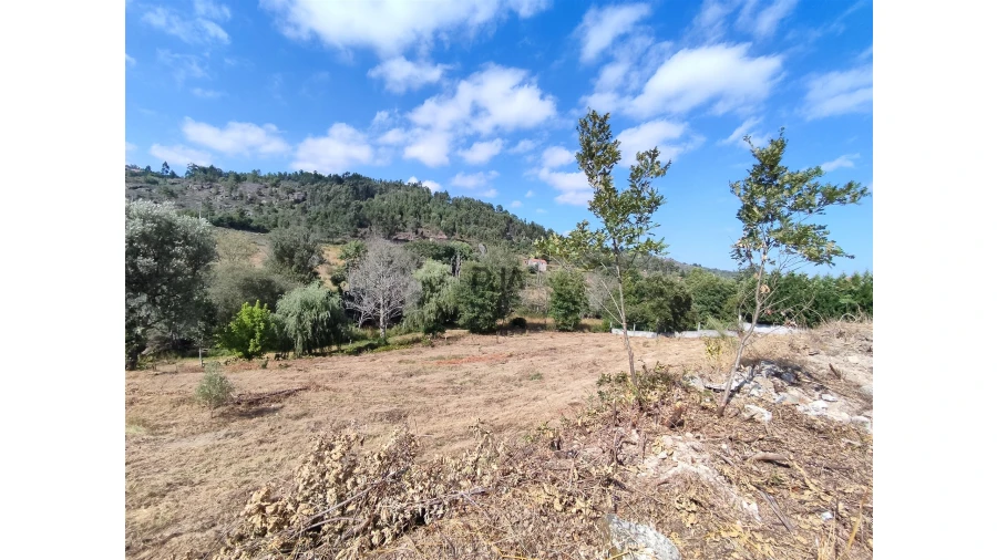 Terreno para Venda em Castelo de Penalva Foto 3