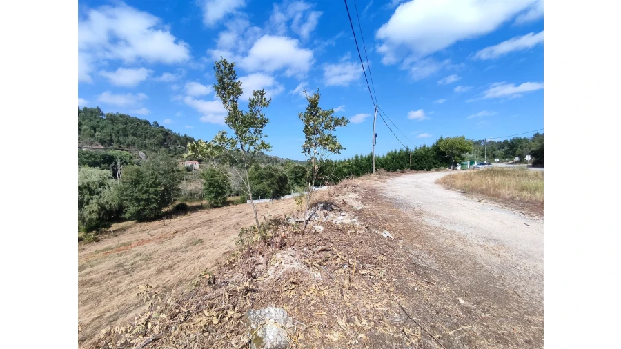 Terreno para Venda em Castelo de Penalva Foto 5
