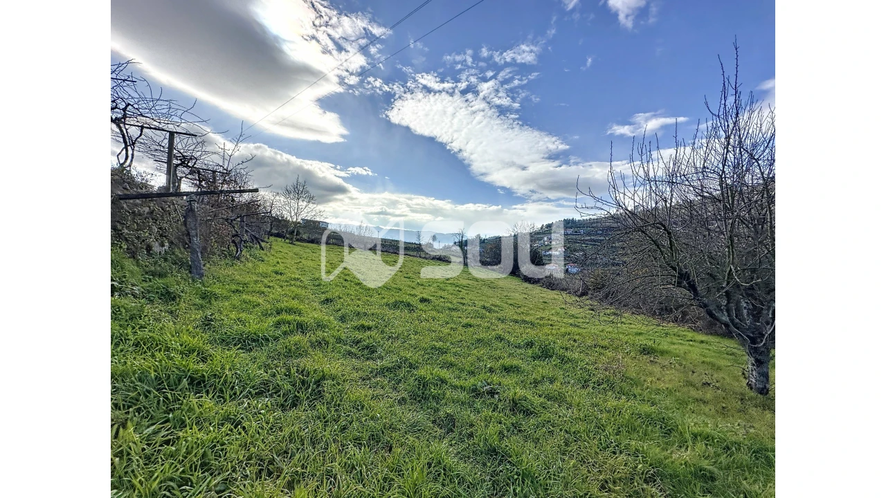 Quinta T5 para Venda em Santa Marinha do Zezere Foto 3