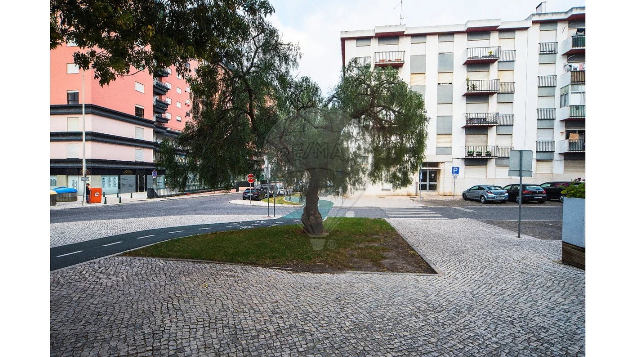 Negócio para Venda em Santa Maria, São Pedro e Matacães Foto 25