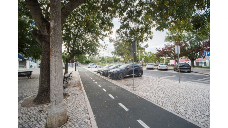 Negócio para Venda em Santa Maria, São Pedro e Matacães Foto 24