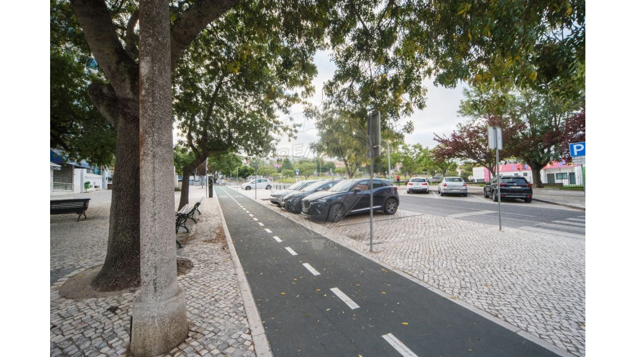 Negócio para Venda em Santa Maria, São Pedro e Matacães Foto 24