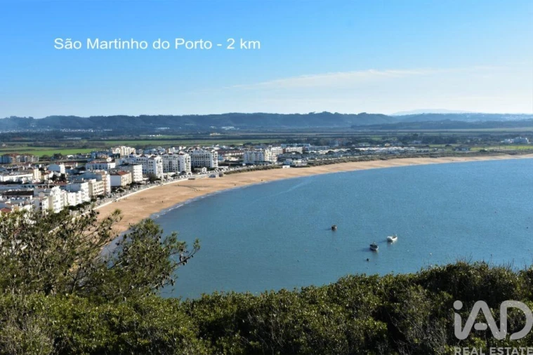 Moradia T3 para Venda em Tornada e Salir do Porto Foto 25