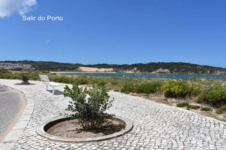 Moradia T3 para Venda em Tornada e Salir do Porto Foto 28