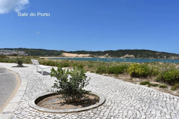 Moradia T3 para Venda em Tornada e Salir do Porto Foto 24