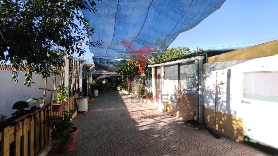 Moradia T3 para Venda em Trigaches e São Brissos Foto 3