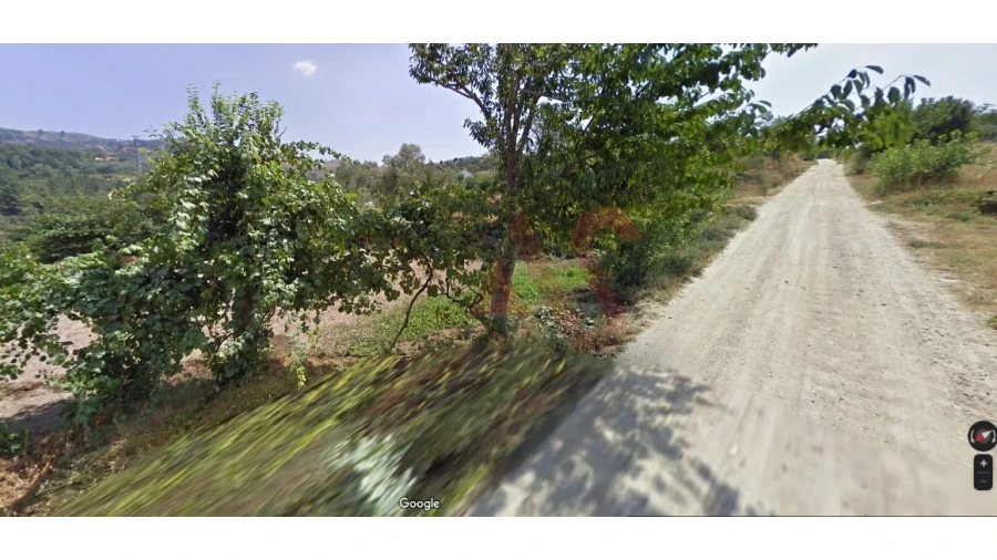 Terreno Agricola ou Rústico para Venda em Soalhães Foto 2