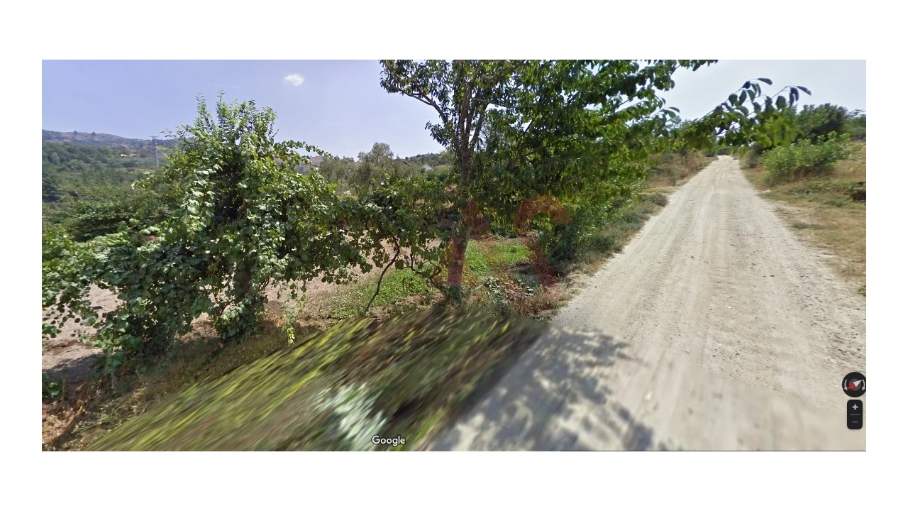 Terreno Agricola ou Rústico para Venda em Soalhães Foto 2