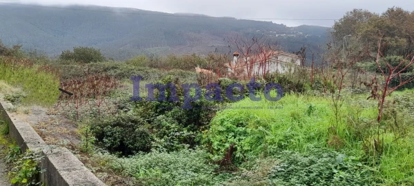 Terreno para Venda em O. Azeméis, Riba-Ul, Ul, Macinhata Seixa, Madail