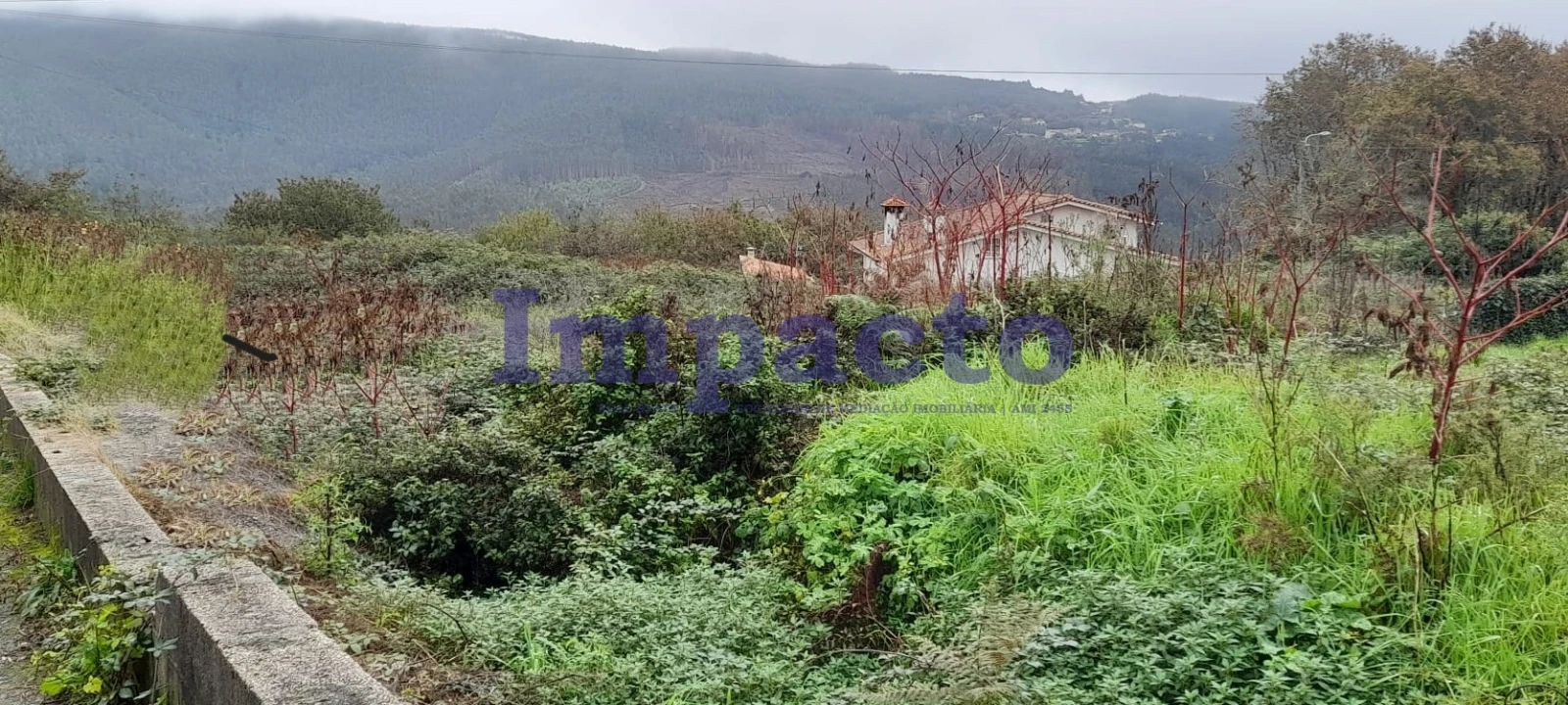Terreno para Venda em O. Azeméis, Riba-Ul, Ul, Macinhata Seixa, Madail Foto 1