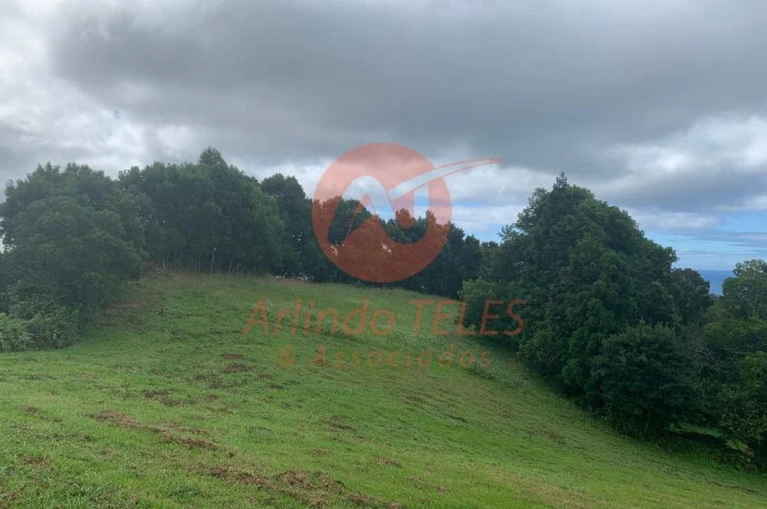 Terreno para Venda em Terra Chã Foto 7