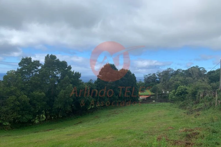 Terreno para Venda em Terra Chã Foto 5