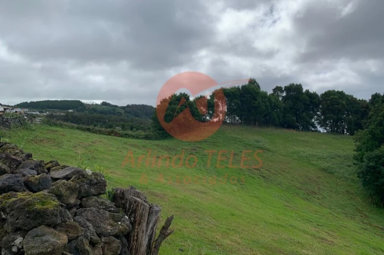 Terreno para Venda em Terra Chã Foto 14