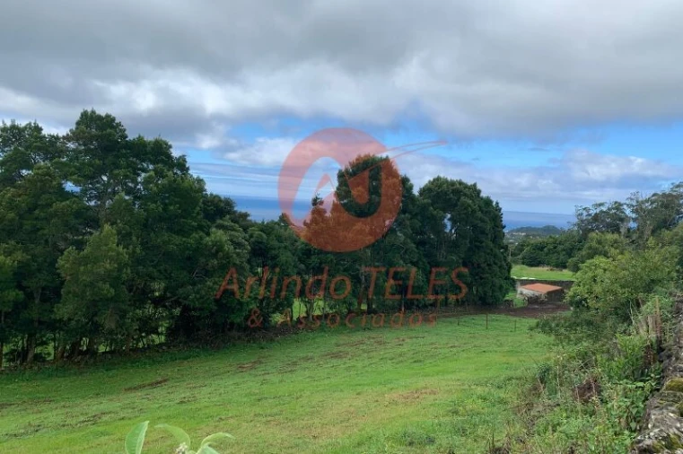 Terreno para Venda em Terra Chã Foto 13