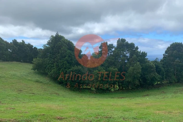 Terreno para Venda em Terra Chã Foto 6
