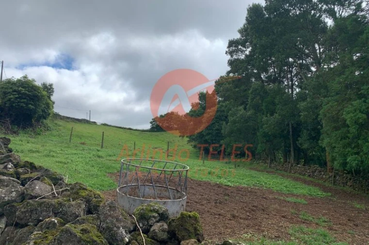 Terreno para Venda em Terra Chã Foto 22