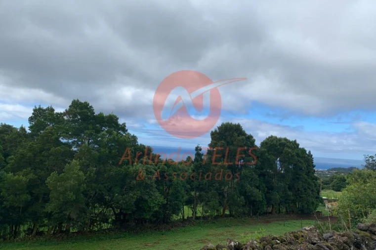 Terreno para Venda em Terra Chã Foto 19